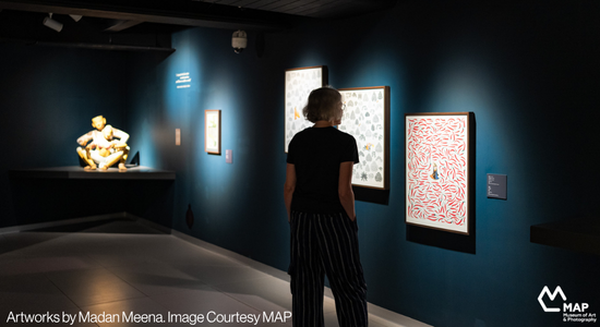 ART MUMBAI GATEWAY | EXCLUSIVE VISIT TO THE MUSEUM OF ART AND PHOTOGRAPHY